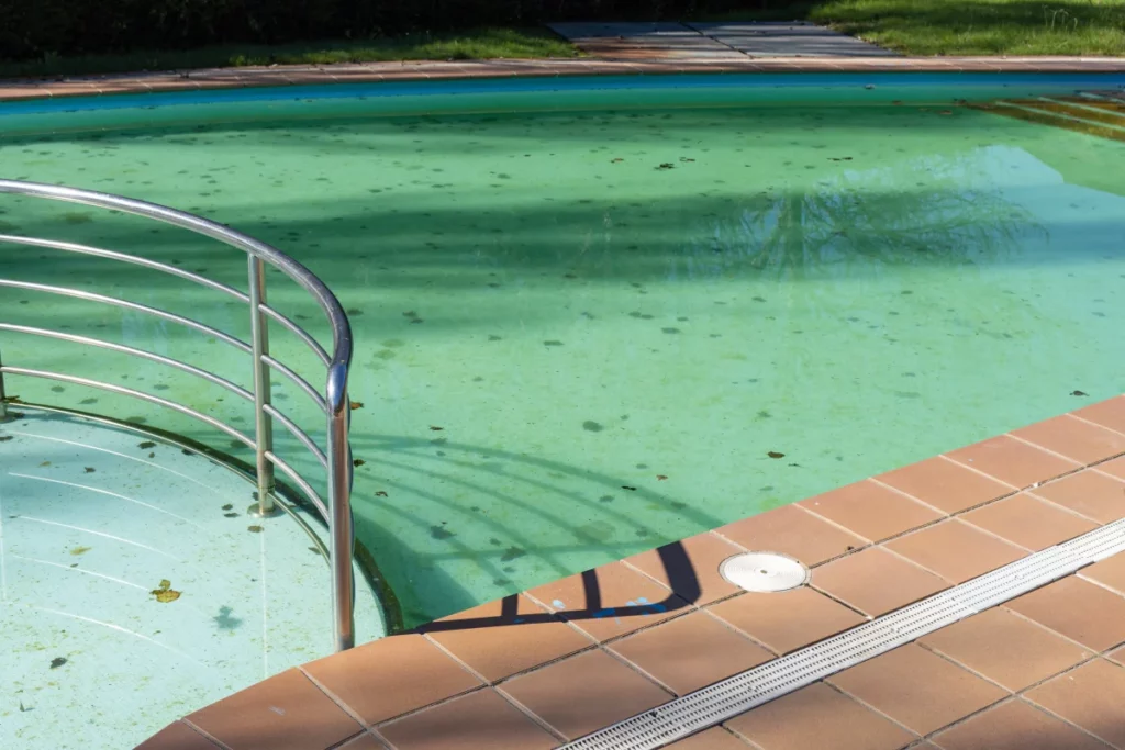 Piscina com água verde e folhas, com corrimão de metal e borda de azulejos marrons