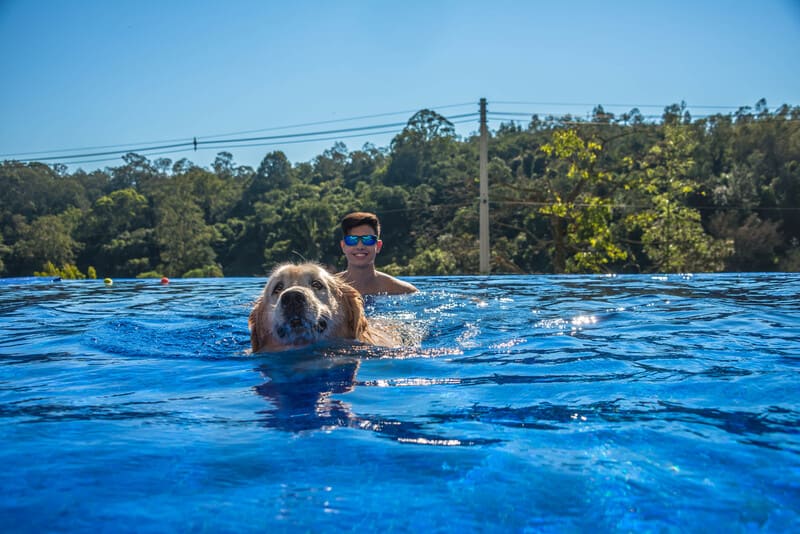 Cachorro nadando na piscina