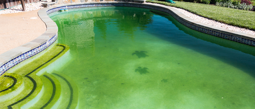 ¿Cómo evitar el agua verde en la piscina?