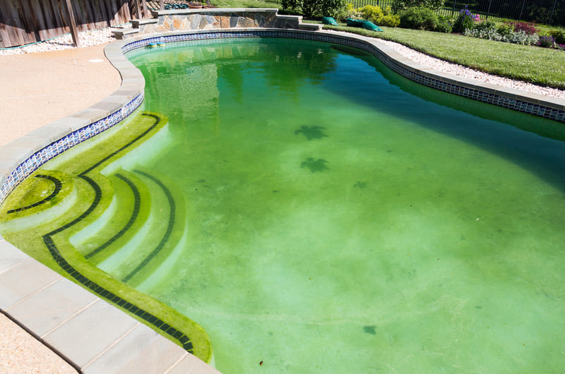 Agua verde en la piscina: ¿cómo evitarla?